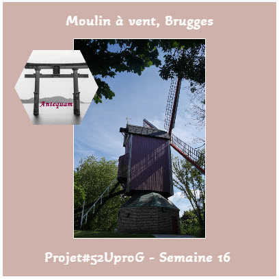 Semaine 16 Un moulin à vent