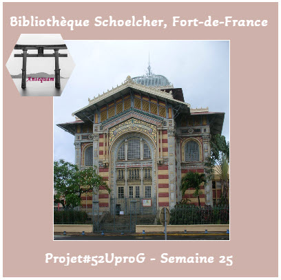 Semaine 25 Une bibliothèque